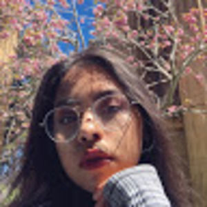 Meet your Posher, Luz